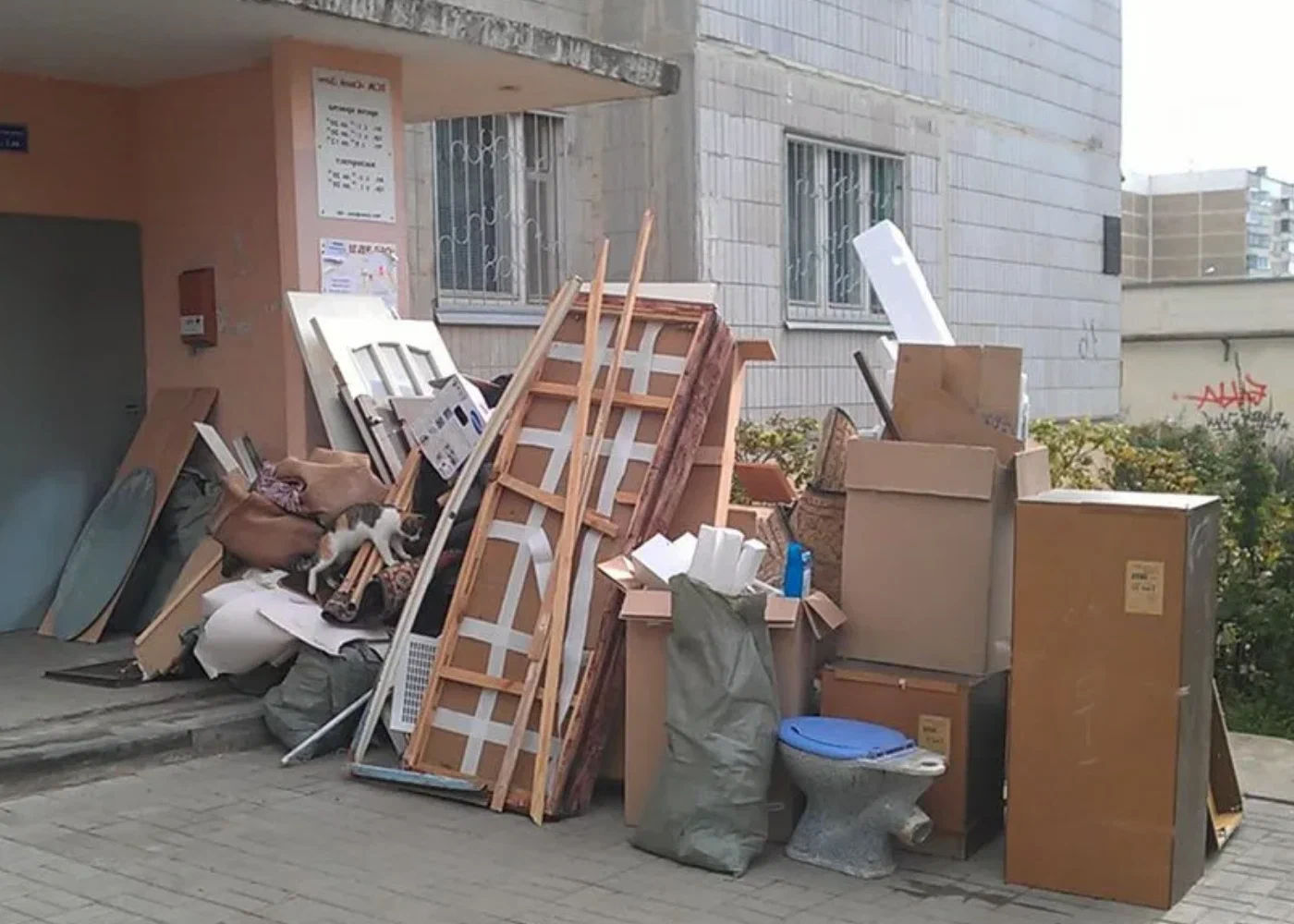Профессиональный вывоз мусора из квартиры в Богородицке в октябре