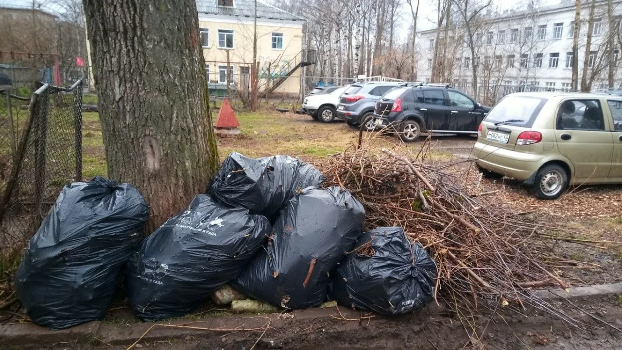 Вывоз мусора после субботника в Богородицке от ПроМусор – уборка и утилизация отходов от 2511 руб