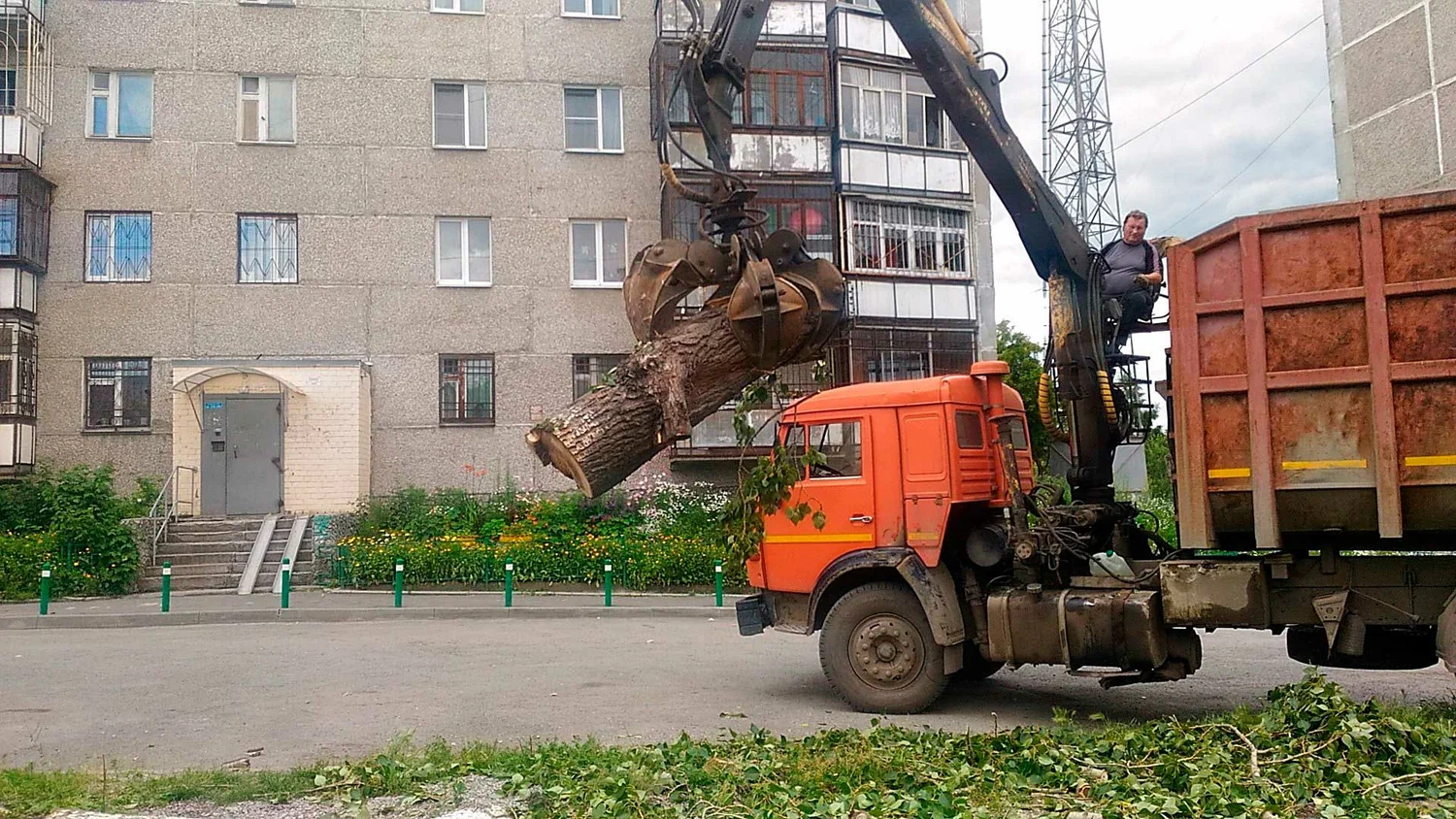 Вывоз спиленных веток и деревьев в Богородицке от ПроМусор: порубочные остатки, утилизация, цена от 3099 руб