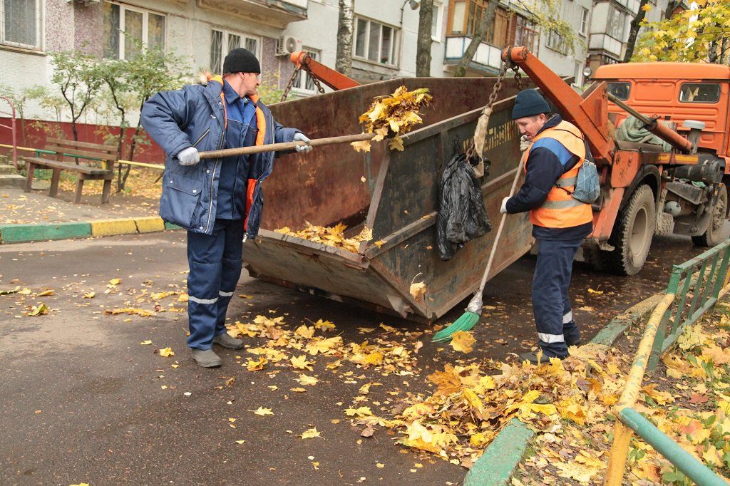 Вывоз опавшей листвы и растительного мусора в Богородицке от ПроМусор – цена от 4809 руб., быстрая уборка и утилизация