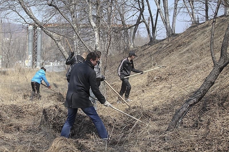Уборка участков от мусора в Богородицке — услуги ПроМусор, вывоз и ручная уборка от 160 руб